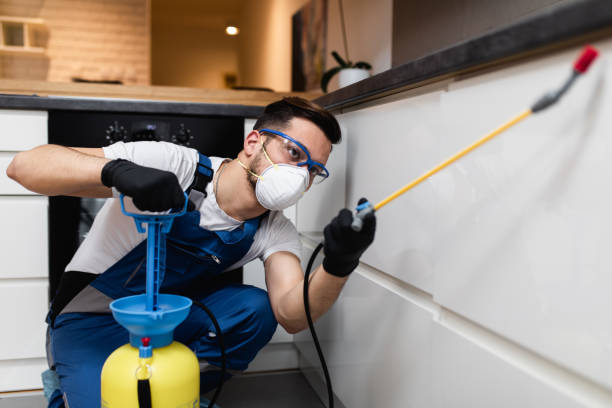 Pest Control Cost in Meadow Lake, NM