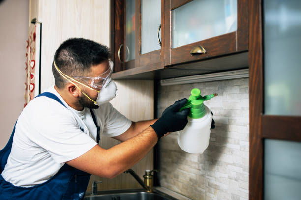 Best Pest Prevention Services  in Meadow Lake, NM