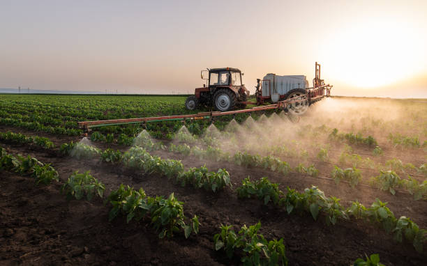 Best Ant Control Services  in Meadow Lake, NM