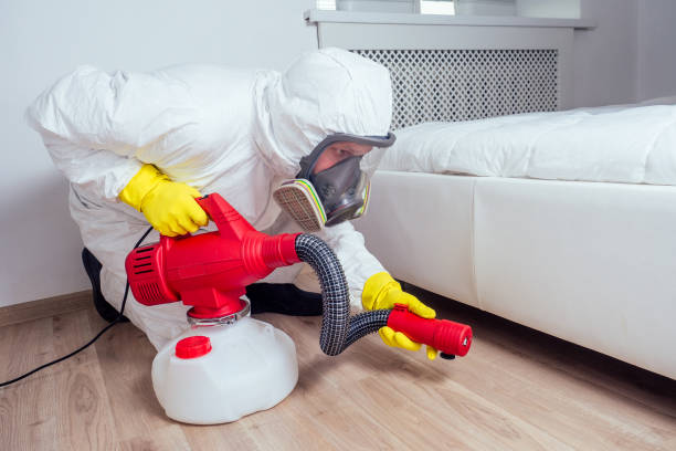 Best Mosquito Control Services  in Meadow Lake, NM