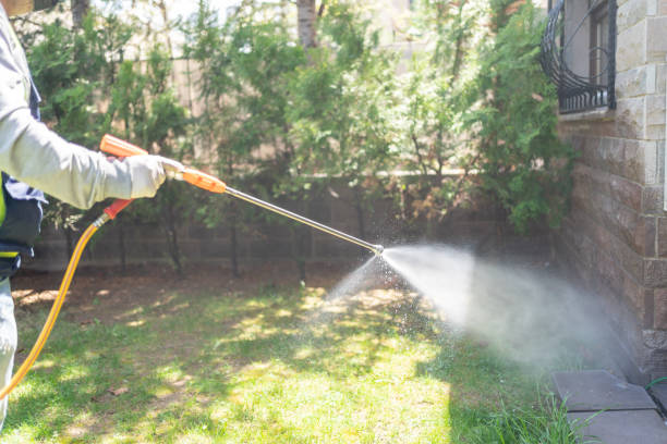 Best Best Pest Control Companies  in Meadow Lake, NM