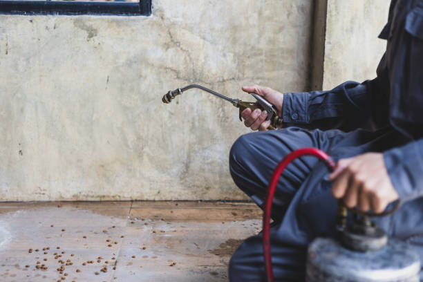 Best Pest Control for Homes  in Meadow Lake, NM